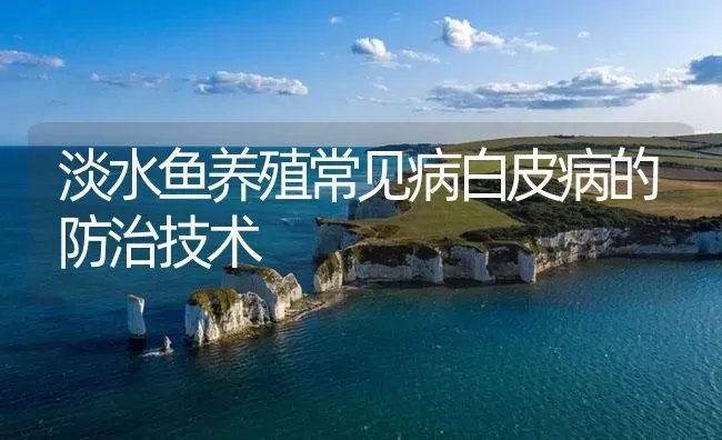 淡水鱼养殖常见病白皮病的防治技术 | 养殖病虫害防治