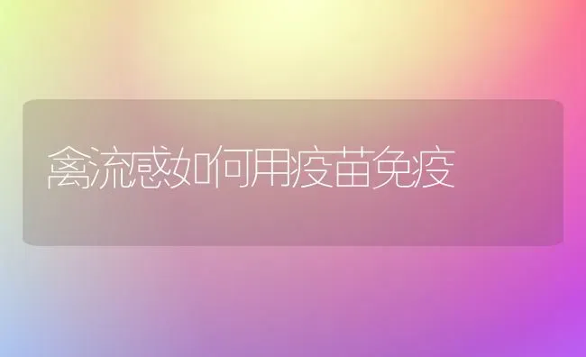 禽流感如何用疫苗免疫 | 家禽养殖