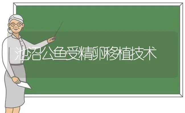 池沼公鱼受精卵移植技术 | 动物养殖百科