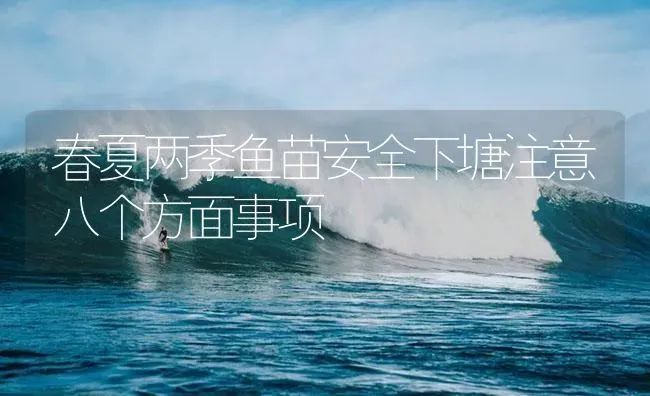 春夏两季鱼苗安全下塘注意八个方面事项 | 淡水养殖
