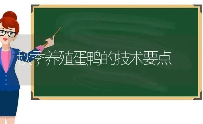 秋季养殖蛋鸭的技术要点 | 家禽养殖