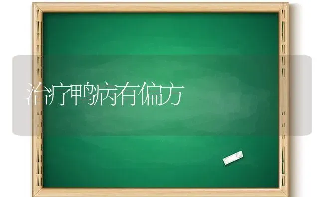 治疗鸭病有偏方 | 家禽养殖