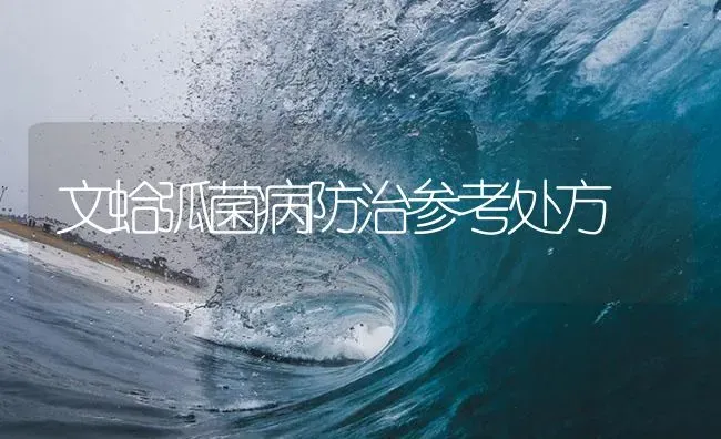 文蛤弧菌病防治参考处方 | 养殖病虫害防治