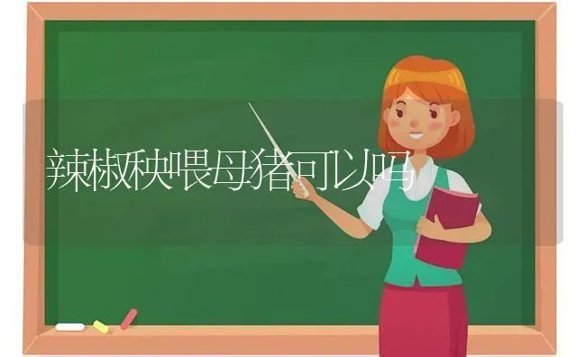 辣椒秧喂母猪可以吗 | 家畜养殖