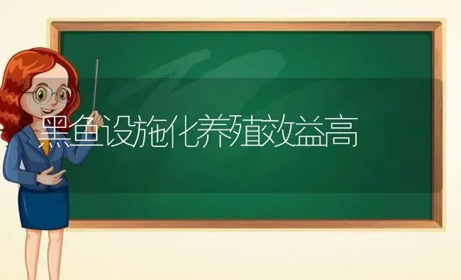 黑鱼设施化养殖效益高 | 淡水养殖