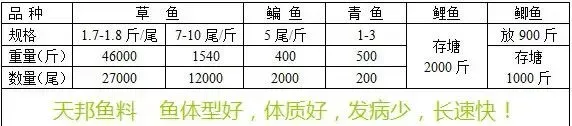 天邦饲料养出来的鱼体型好体质好用户们省心放心