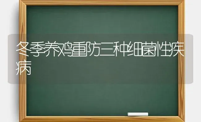 冬季养鸡重防三种细菌性疾病 | 家禽养殖