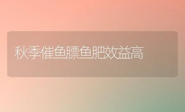 秋季催鱼膘鱼肥效益高 | 淡水养殖