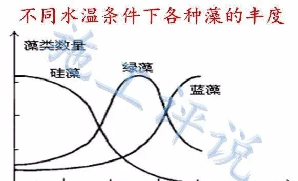 全国大面积高温天气，光照太长太强，池塘死藻多发的问题怎么解决？