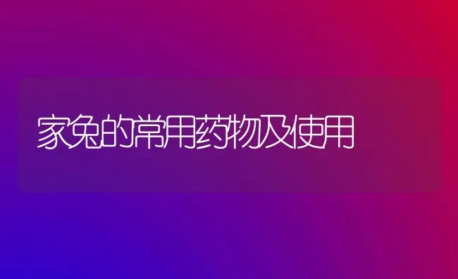 家兔的常用药物及使用 | 养殖病虫害防治