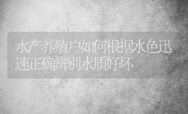 水产养殖户如何根据水色迅速正确辨别水质好坏 | 动物养殖百科