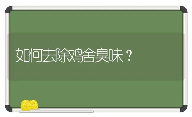 如何去除鸡舍臭味？ | 家禽养殖