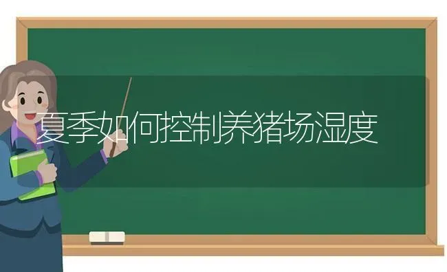 夏季如何控制养猪场湿度 | 家畜养殖