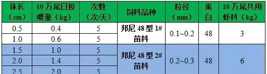 天邦全熟化苗料，小棚养殖南美白对虾标粗更可靠