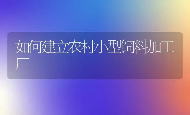 如何建立农村小型饲料加工厂 | 动物养殖饲料