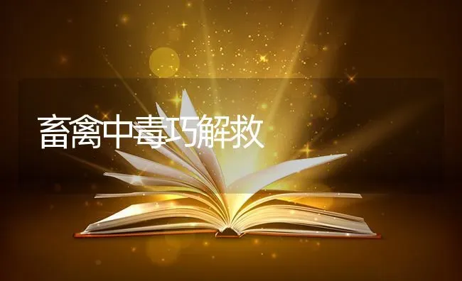 畜禽中毒巧解救 | 家禽养殖