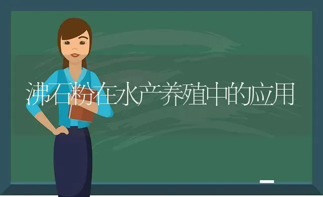 沸石粉在水产养殖中的应用 | 动物养殖百科