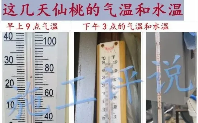 全国大面积高温天气，光照太长太强，池塘死藻多发的问题怎么解决？