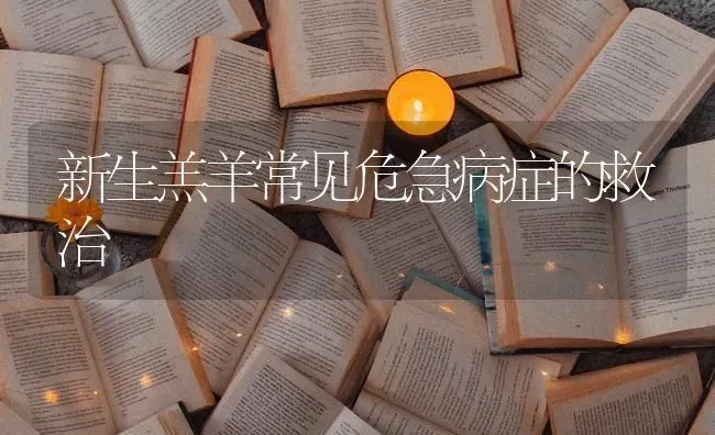 新生羔羊常见危急病症的救治 | 家畜养殖