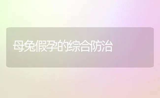 母兔假孕的综合防治 | 家畜养殖