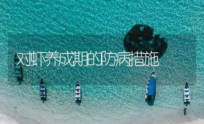 对虾养成期的防病措施 | 海水养殖