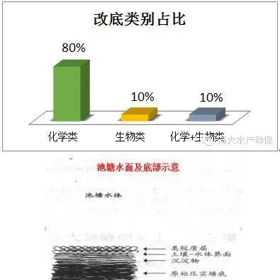 水产养殖池塘底质分析及常见改底种类简介