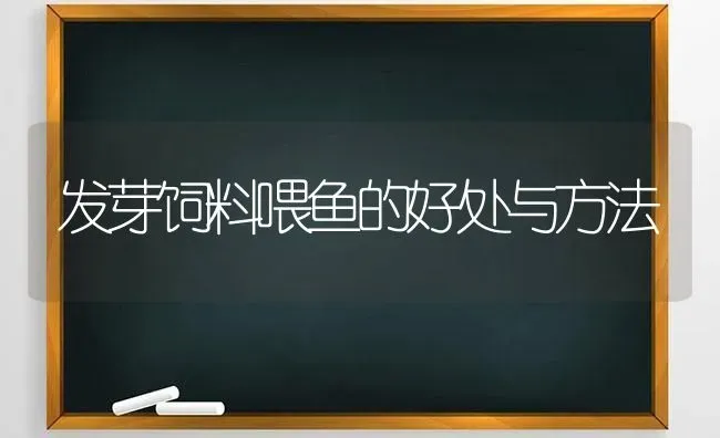 发芽饲料喂鱼的好处与方法 | 动物养殖饲料