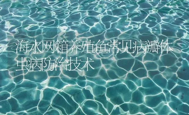 海水网箱养殖鱼常见病瓣体虫病防治技术 | 养殖病虫害防治