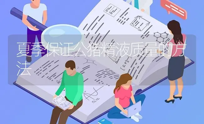 夏季保证公猪精液质量的方法 | 家畜养殖