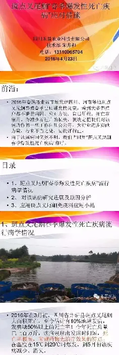 斑点叉尾鮰“春季爆发性死亡疾病”应对措施