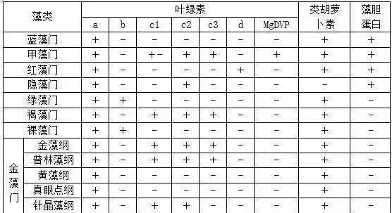 “控光+补菌”—特种鱼稳水新思路