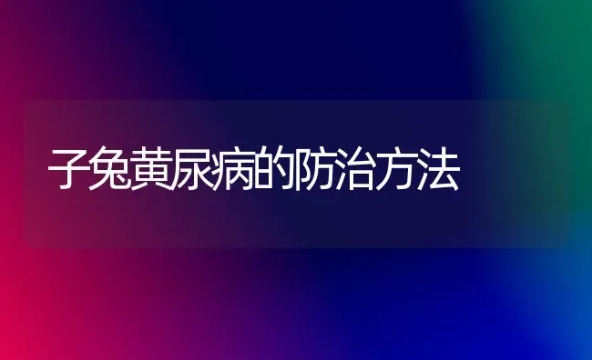 子兔黄尿病的防治方法 | 家畜养殖