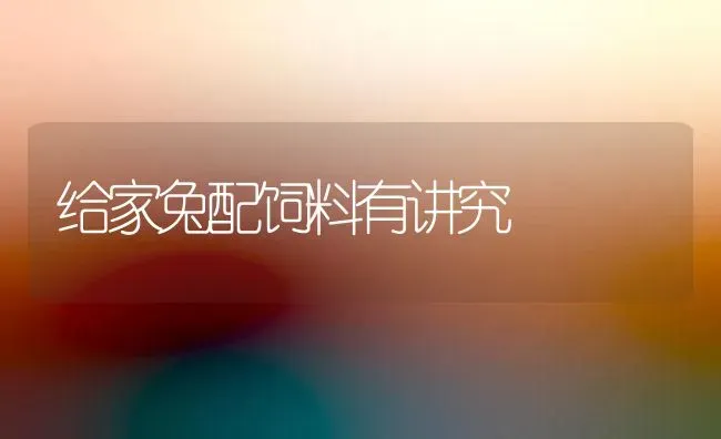 给家兔配饲料有讲究 | 动物养殖饲料