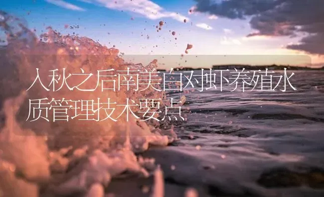 入秋之后南美白对虾养殖水质管理技术要点 | 海水养殖
