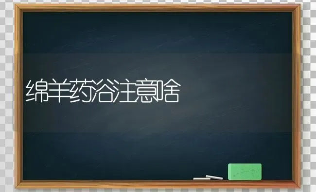 绵羊药浴注意啥 | 养殖病虫害防治