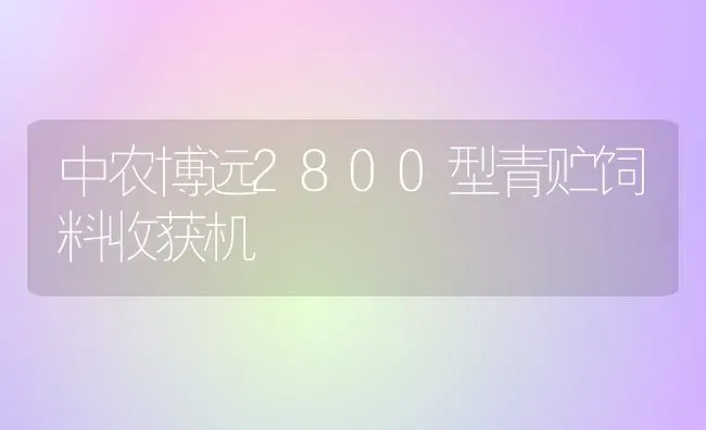 中农博远2800型青贮饲料收获机 | 动物养殖饲料