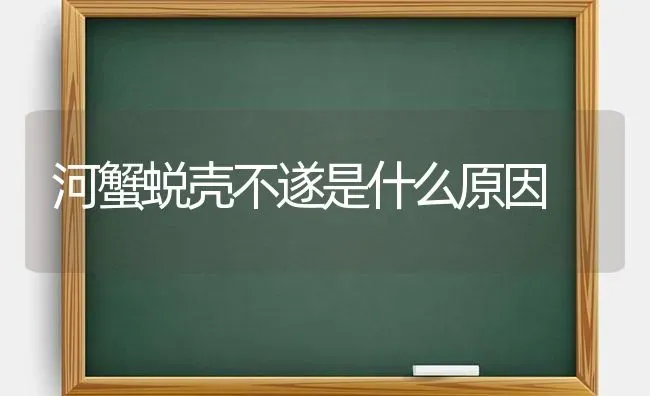 河蟹蜕壳不遂是什么原因 | 淡水养殖