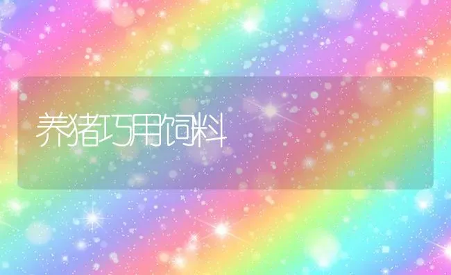 养猪巧用饲料 | 家畜养殖