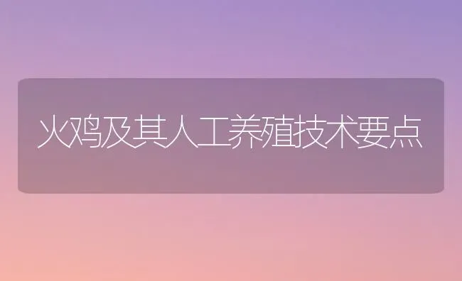 火鸡及其人工养殖技术要点 | 家禽养殖