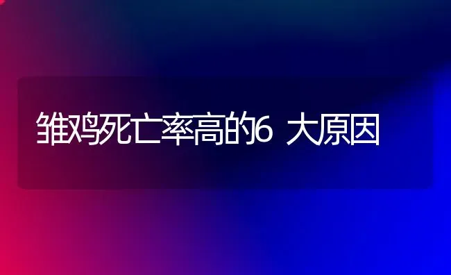 雏鸡死亡率高的6大原因 | 家禽养殖