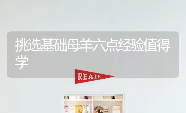 挑选基础母羊六点经验值得学 | 家畜养殖