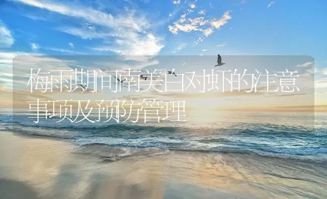 梅雨期间南美白对虾的注意事项及预防管理 | 海水养殖