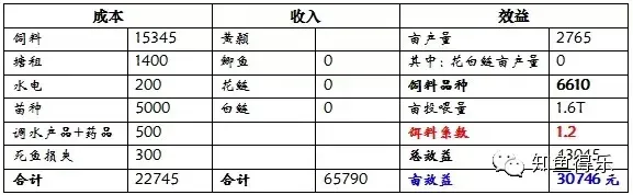 海大6610养殖台湾泥鳅，饵料系数1.2亩效益30746元