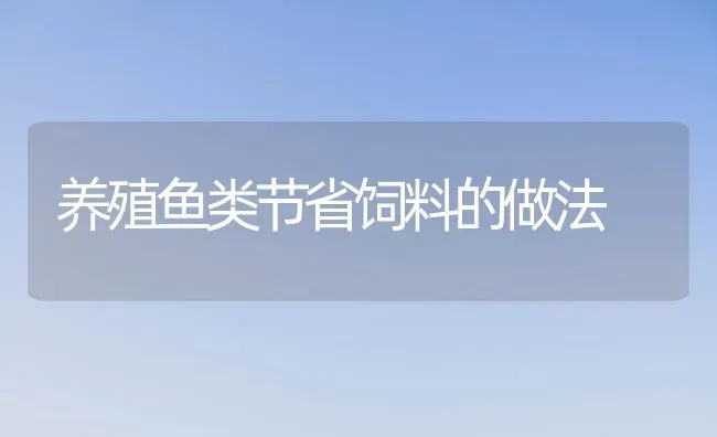 养殖鱼类节省饲料的做法 | 动物养殖饲料