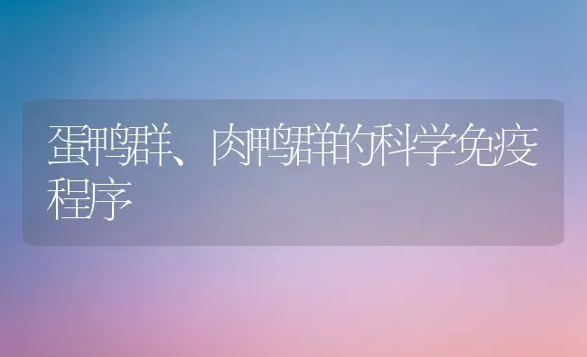 蛋鸭群、肉鸭群的科学免疫程序 | 家禽养殖