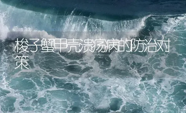 梭子蟹甲壳溃疡病的防治对策 | 海水养殖