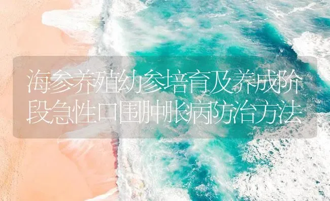 海参养殖幼参培育及养成阶段急性口围肿胀病防治方法 | 海水养殖