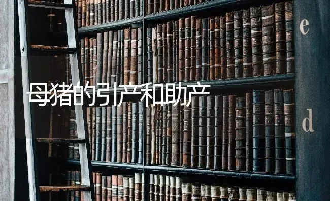 母猪的引产和助产 | 家畜养殖