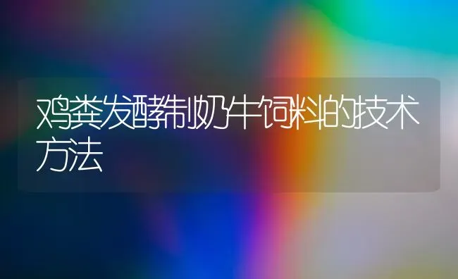 鸡粪发酵制奶牛饲料的技术方法 | 家禽养殖