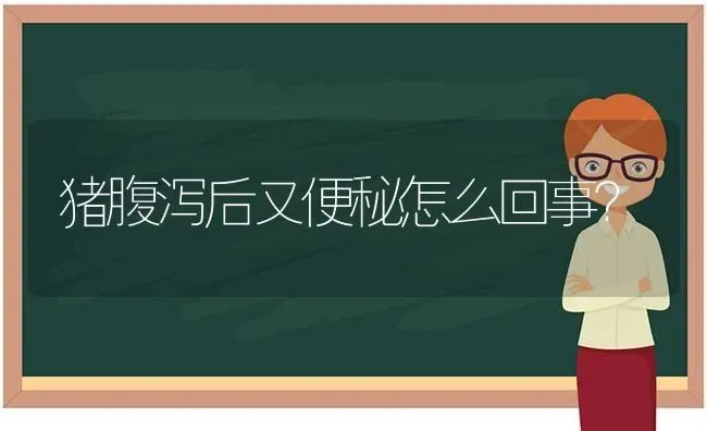 猪腹泻后又便秘怎么回事？ | 家畜养殖